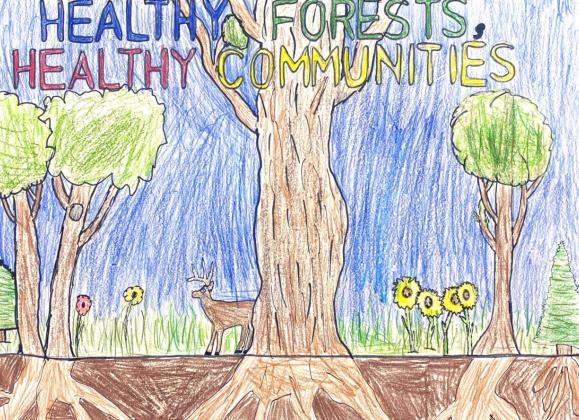 State winning poster in Division 4 from Sioux County, Iowa. | Water  conservation poster, Soil and water conservation, Soil conservation